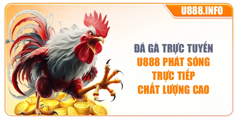 Đá gà trực tuyến U888 phát sóng trực tiếp chất lượng cao
