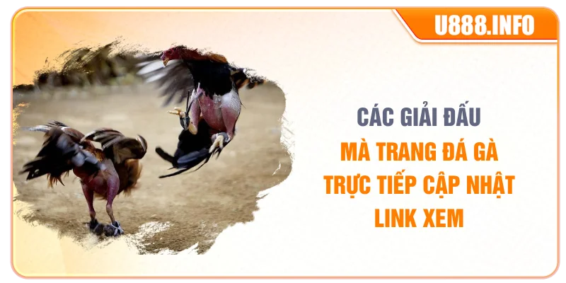 Các giải mà trang đá gà trực tiếp cập nhật link xem 
