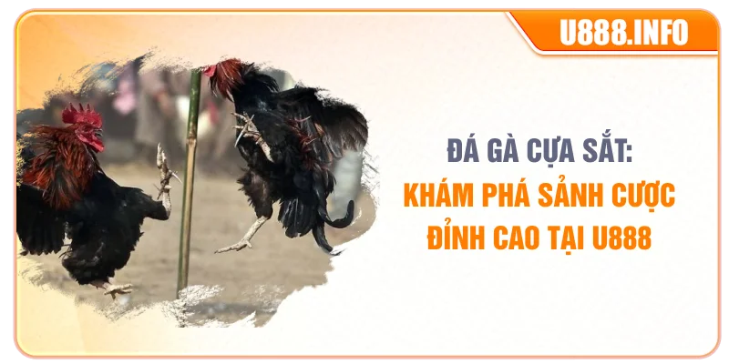 Đá Gà Cựa Sắt: Khám Phá Sảnh Cược Đỉnh Cao Tại U888