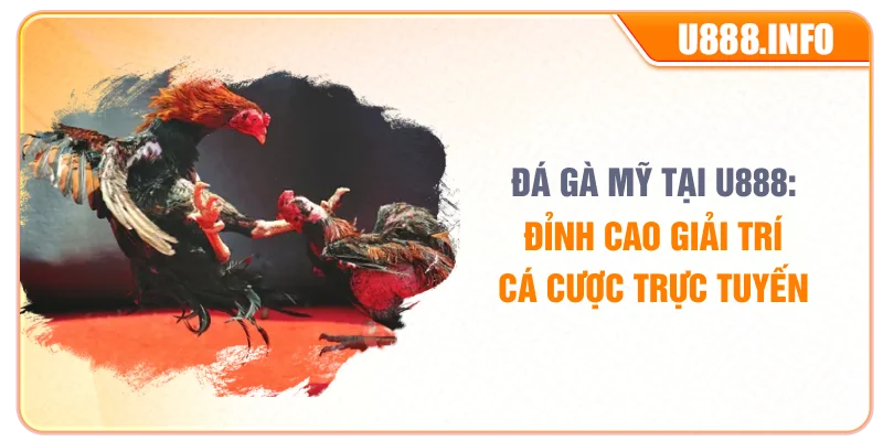 Đá Gà Mỹ Tại U888: Đỉnh Cao Giải Trí Cá Cược Trực Tuyến