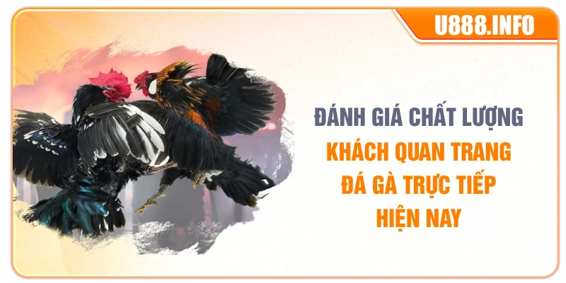 Đánh giá chất lượng khách quan trang đá gà trực tiếp hiện nay