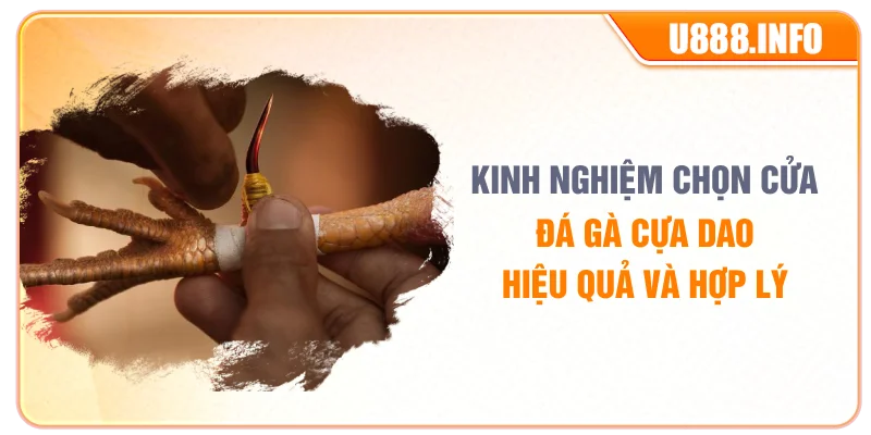 Kinh nghiệm chọn cửa đá gà cựa dao hiệu quả và hợp lý