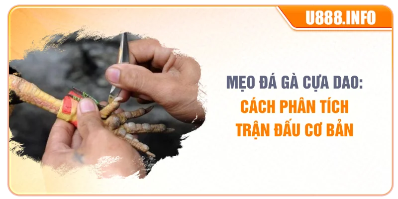 Mẹo Đá Gà Cựa Dao: Cách Phân Tích Trận Đấu Cơ Bản