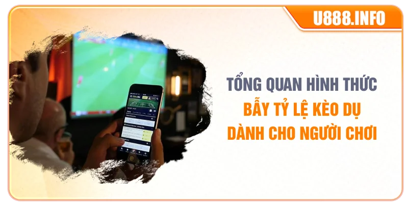 Tổng quan hình thức bẫy tỷ lệ kèo dụ dành cho người chơi