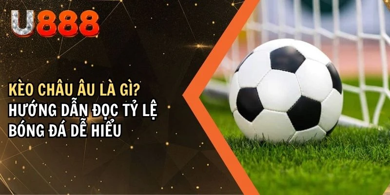 Kèo Châu Âu Là Gì? Hướng Dẫn Đọc Tỷ Lệ Bóng Đá Dễ Hiểu