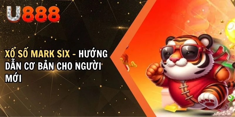 Xổ Số Mark Six - Hướng Dẫn Cơ Bản Cho Người Mới