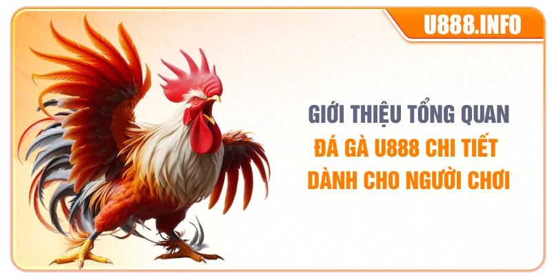 Giới thiệu tổng quan đá gà U888 chi tiết dành cho người chơi