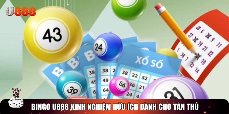 Bingo U888 kinh nghiệm hữu ích dành cho tân thủ